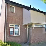 Huur 4 slaapkamer huis van 115 m² in Eindhoven