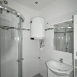 Rent 1 bedroom apartment of 55 m² in Praha