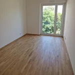 Rent 3 bedroom apartment of 79 m² in Dresden