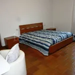 Rent 4 bedroom apartment of 110 m² in Milano