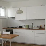 Pronajměte si 1 ložnic/e byt o rozloze 42 m² v Prague