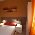 Rent 4 bedroom apartment in Madrid