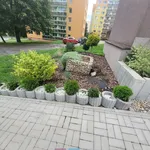 Rent 1 bedroom apartment in Jablonec nad Nisou