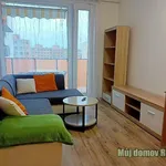 Rent 1 bedroom apartment of 44 m² in Praha