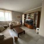 Rent 5 bedroom apartment of 90 m² in Fossano