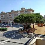 3-room flat via Giovanni Verga 2, Centro, Piombino