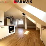 Rent 3 bedroom apartment in Praha