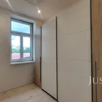 Rent 3 bedroom apartment of 80 m² in Písek