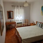 Rent 1 bedroom apartment of 45 m² in Portimão