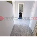 Rent 3 bedroom apartment of 70 m² in Livorno