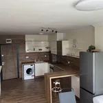 Rent 2 bedroom apartment of 65 m² in Остромила