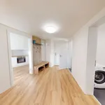 Pronajměte si 3 ložnic/e byt o rozloze 92 m² v Prague