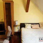 Rent 1 bedroom apartment of 37 m² in Poznan