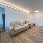 Rent 4 bedroom apartment of 90 m² in Trento