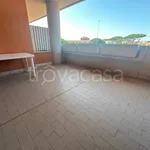 Rent 1 bedroom apartment of 37 m² in Roma