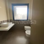 Rent 3 bedroom apartment of 110 m² in Cagliari