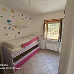 Rent 3 bedroom apartment of 70 m² in Segni