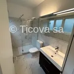 Rent 2 bedroom apartment of 30 m² in Lugano