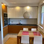 Rent 2 bedroom apartment of 49 m² in Rzeszów