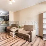 Rent 2 bedroom apartment of 40 m² in Poznań