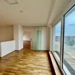 Rent 6 bedroom apartment of 210 m² in Wien