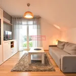 Rent 2 bedroom apartment of 40 m² in Krakow