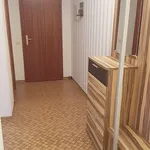 Rent 2 bedroom apartment of 49 m² in Hamburg