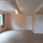 Rent 1 bedroom apartment in Tauranga