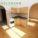 Rent 2 bedroom apartment of 42 m² in Pilsen