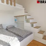 Rent 2 bedroom apartment of 60 m² in Brno