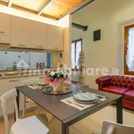 Rent 1 bedroom apartment of 40 m² in Florence