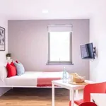 Rent 1 bedroom apartment in Sheffield