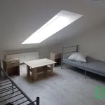 Rent 1 bedroom apartment of 14 m² in Brno