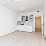 Rent 1 bedroom apartment in Prague