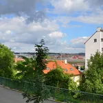 Rent 1 bedroom apartment of 80 m² in Prague