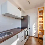 Rent 1 bedroom apartment of 32 m² in Praha 4 - Chodov