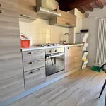 Rent 3 bedroom apartment of 50 m² in Siena