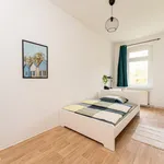 Rent 5 bedroom apartment in Berlin