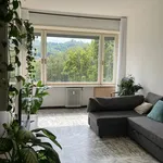 Rent 3 bedroom apartment of 80 m² in Turin