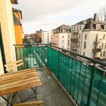 Rent 1 bedroom apartment of 51 m² in Dresden