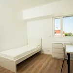 Rent 7 bedroom apartment in Lisbon