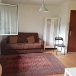 Appartement de 26 m² avec 1 chambre(s) en location à Gérardmer