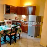 Rent 2 bedroom apartment of 50 m² in Rome