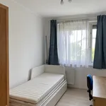 Rent 3 bedroom apartment of 64 m² in Budapest