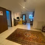 Rent 7 bedroom house of 207 m² in Piacenza