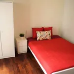 Rent a room in florence