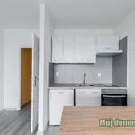 Rent 1 bedroom apartment in Capital City of Prague