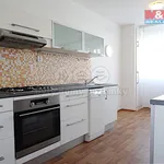 Rent 3 bedroom apartment of 71 m² in Praha