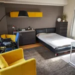 Huur 1 slaapkamer appartement van 30 m² in Ixelles