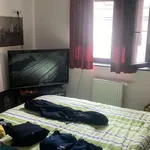 Rent 1 bedroom apartment in Beernem